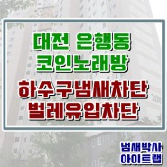 대전 은행동 코인노래방 시공사례
